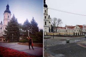 В центре Пинска вырубили голубые ели