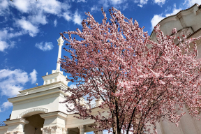 Дневник войны, глава 301. «Ты замираешь с ножом в руке, вслушиваешься в «бум-бум-бум», ждешь – не начнет ли мир белеть от невыносимого света»