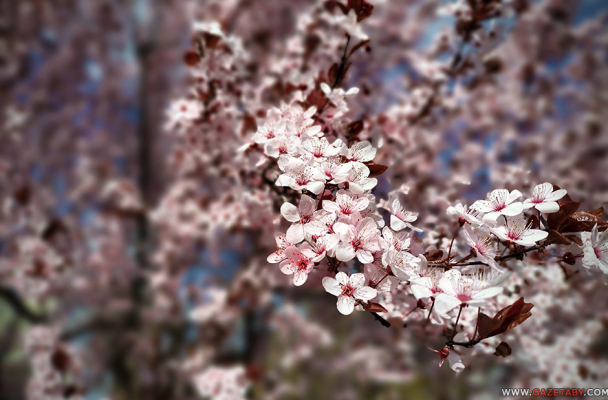 Дневник войны, глава 300. «Осторожно спрашиваю у подруги о планах на выходные – о шашлыках»