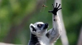 Брухан: «Людям не нравится, когда их держат в ежовых рукавицах, но при этом ничего не дают взамен»