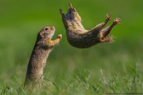 Маховский: «Если у вас падение экономики, это никогда не повод для оптимизма. Это очень плохо»