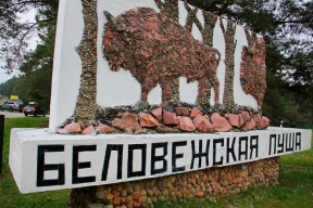 Возмутивший граждан концерт электронной музыки в Беловежской пуще перенесли